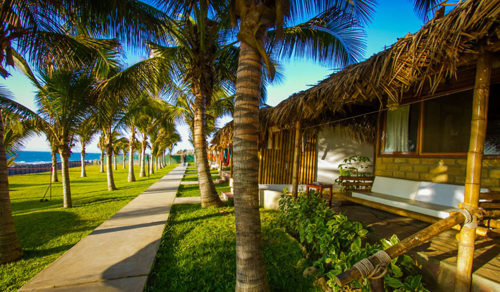 Hotel Playa Palmeras Лос-Органос Екстер'єр фото